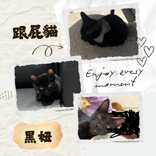 Gallery image 22