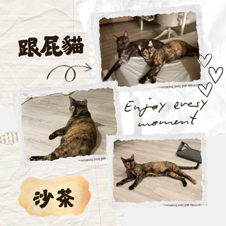 Gallery image 32