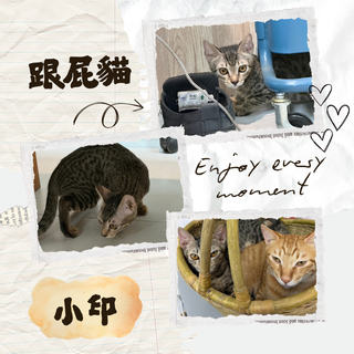 Gallery image 33